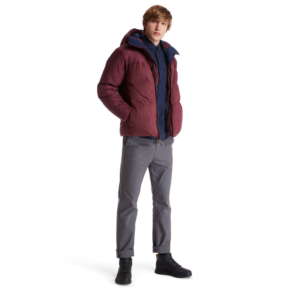 Timberland Mens Jackets Neo Summit Hooded Winter - Burgundy - India ZN3598427